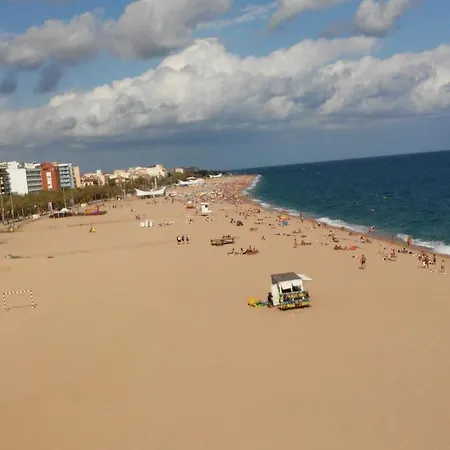 Apartment Apartamento Estudio A 50 M.playa Calella
