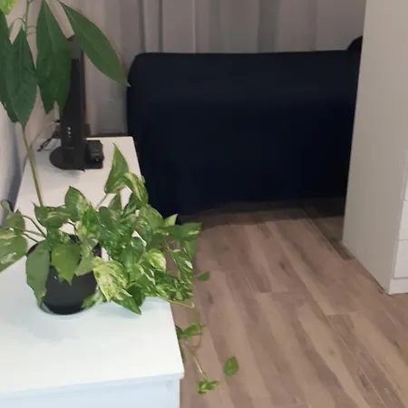 Apartamento Estudio A 50 M.playa Apartment